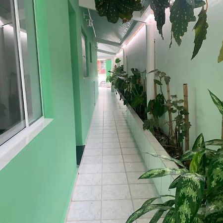 Casa Com 4 Quartos Centro Сан-Себастьян Экстерьер фото