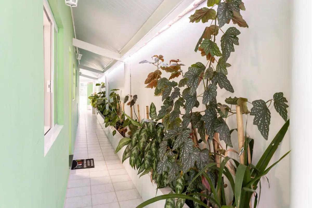 Casa Com 4 Quartos Centro Сан-Себастьян Экстерьер фото